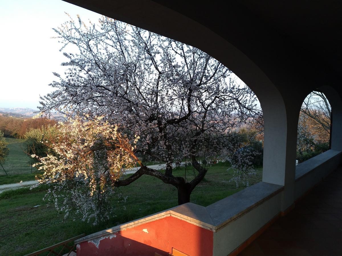 百丽马尔凯住宿加早餐旅馆 奇维塔诺瓦阿尔塔 外观 照片